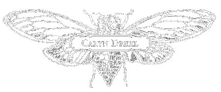 Caryn Drexl